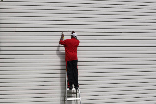 Best Brick Veneer Siding  in Kouts, IN